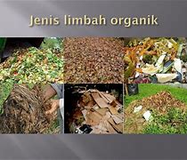 Jenis Limbah Organik Yang Banyak Ditemukan Di Daerah Pesisir Adalah